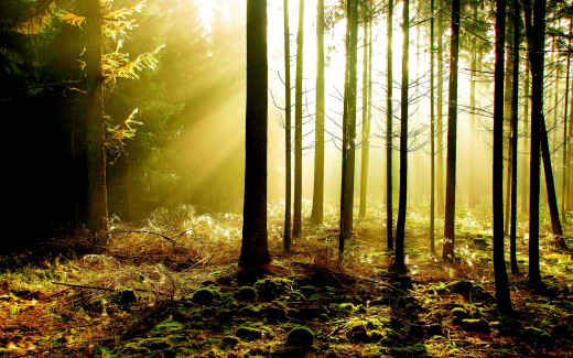 703662 (a): :2560x1600